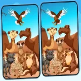 Spot 5 Differences Deserts